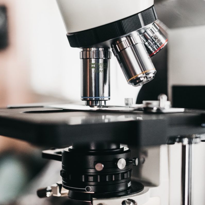 Investigación From Lab to Field