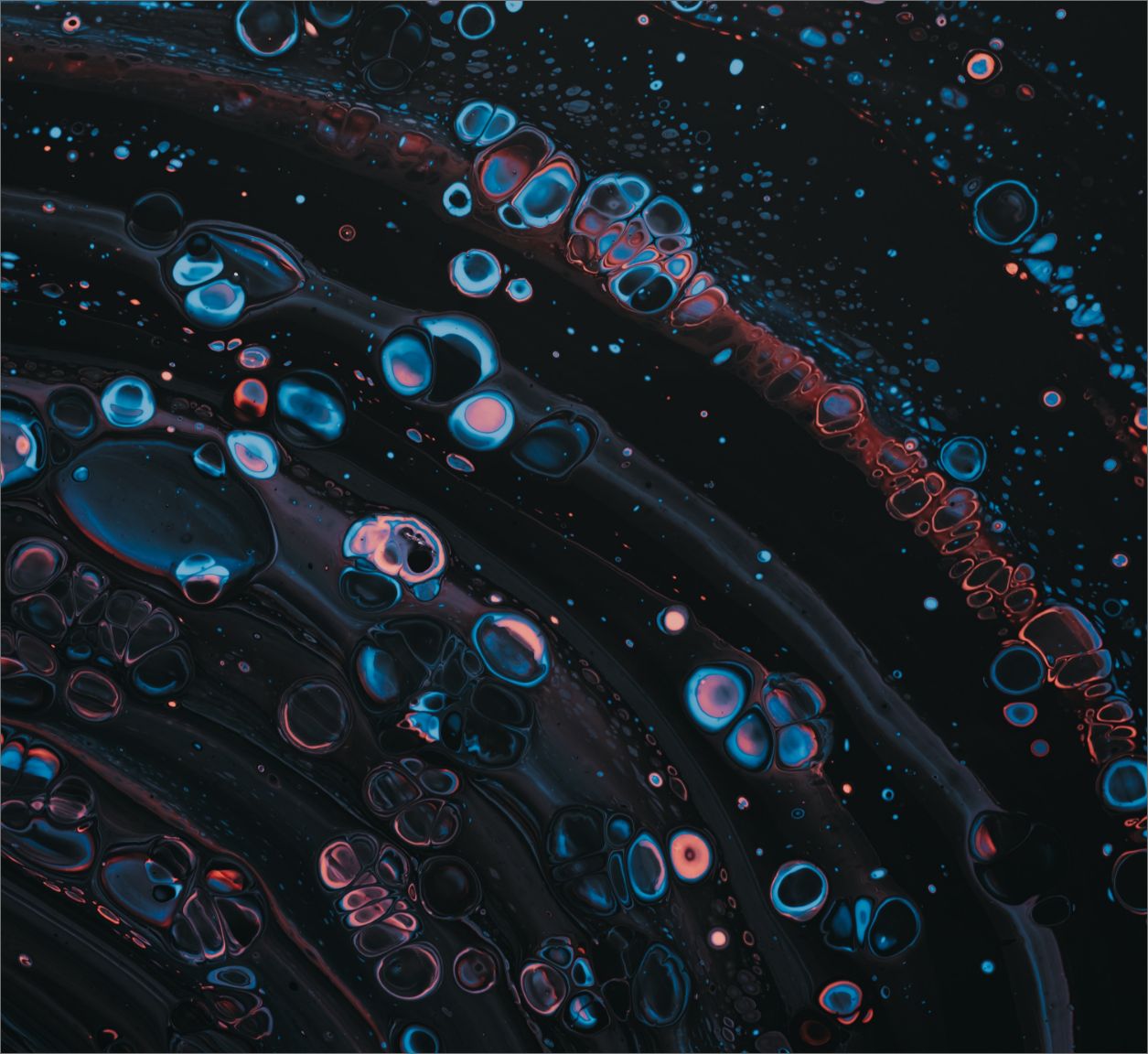 sinergias from lab to field