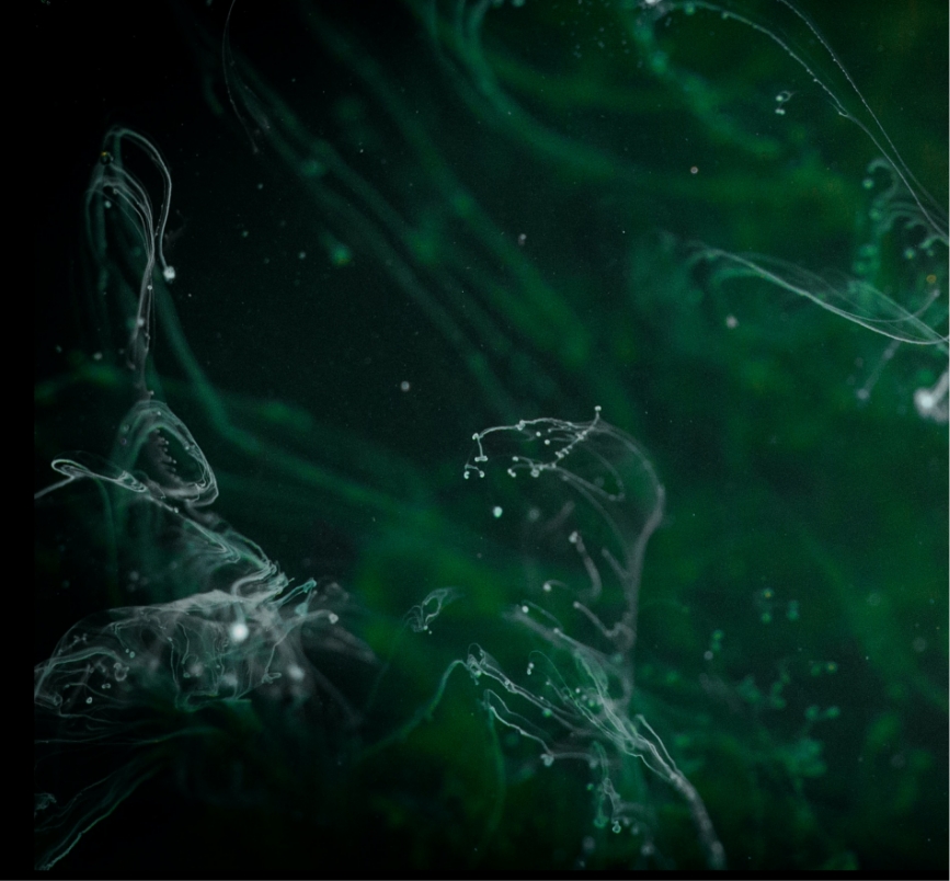 nutricion fisicoquimica from lab to field